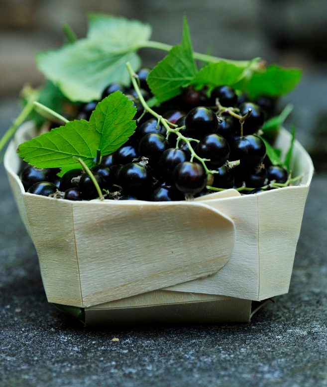 26 Jun 2011 --- Blackcurrants in wooden box, close-up --- Image by © Diana Miller/Corbis