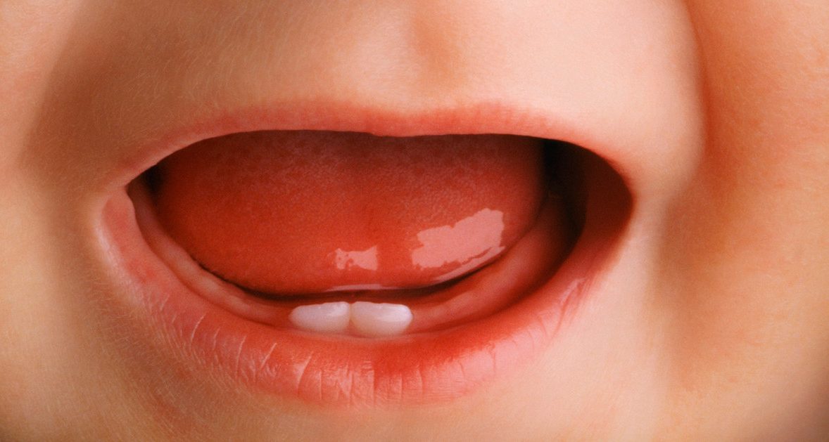 Two Tiny Teeth in Baby's Open Mouth --- Image by © Chris Collins/Corbis