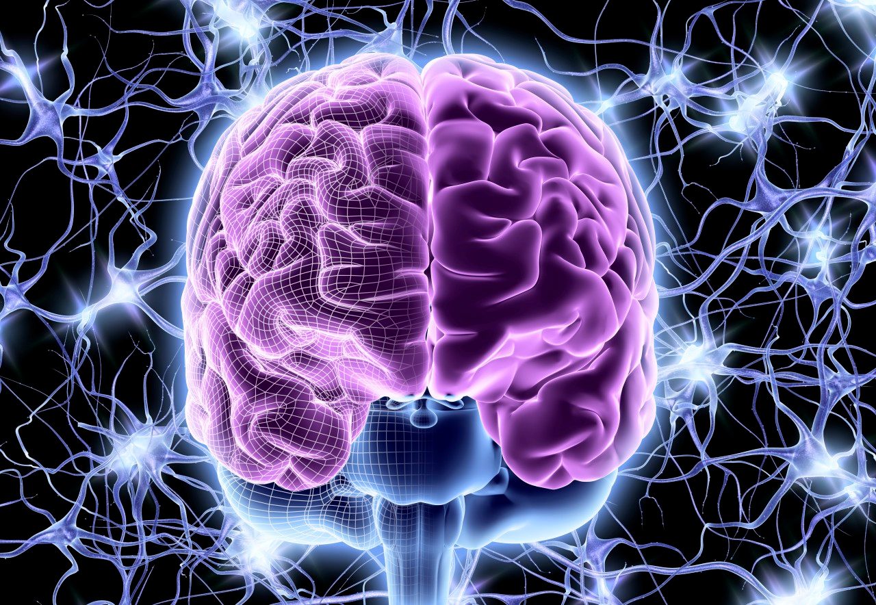 07 Feb 2013 --- Computer artwork of a frontal view of a human brain. In the background a neural network of nerve cells firing. --- Image by © PASIEKA/Science Photo Library/Corbis
