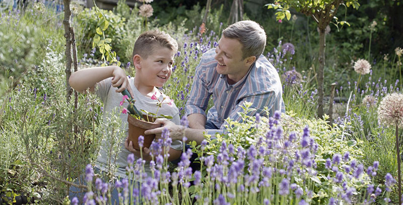 Father and son (10-12 years) gardening in backyard --- Image by Â© Hiya Images/Corbis