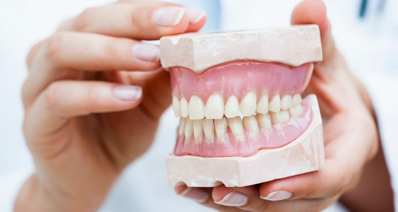 Germany --- Germany, Bavaria, Diessen am Ammersee, Young doctor exhibiting dentures, close up --- Image by © Julian Rupp/Westend61/Corbis
